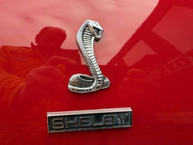 Bild 24/28 von Ford Shelby GT 350 (1970)