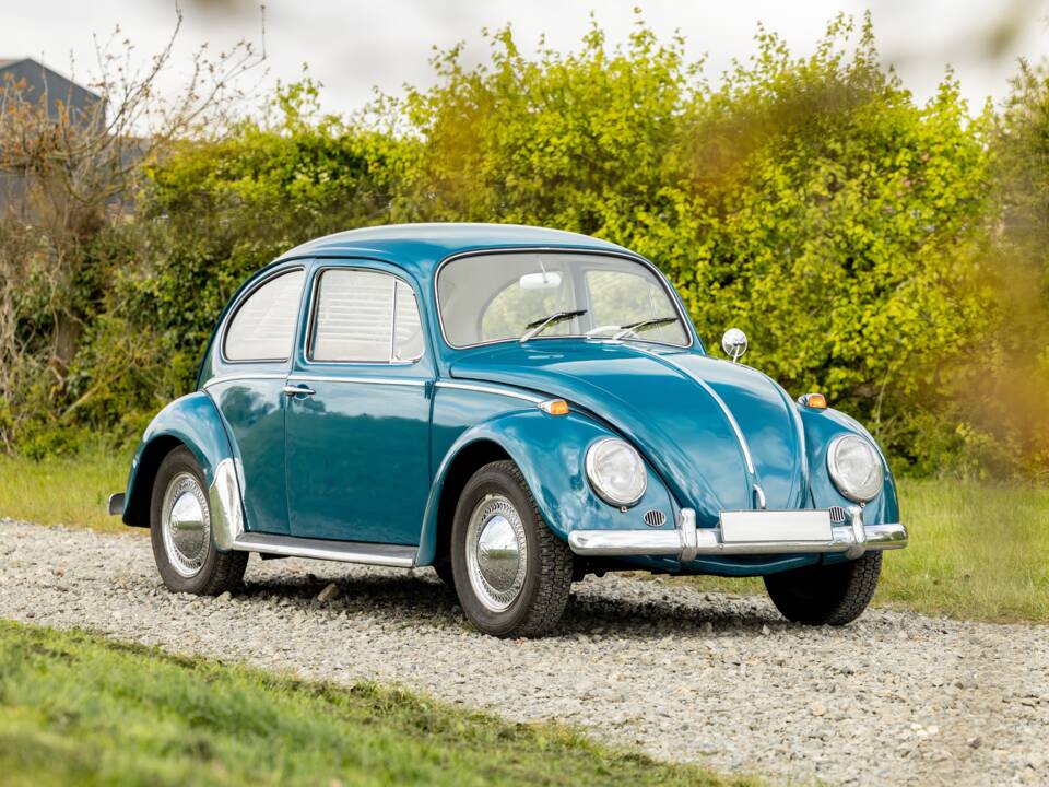 Bild 1/40 von Volkswagen Käfer 1300 (1965)