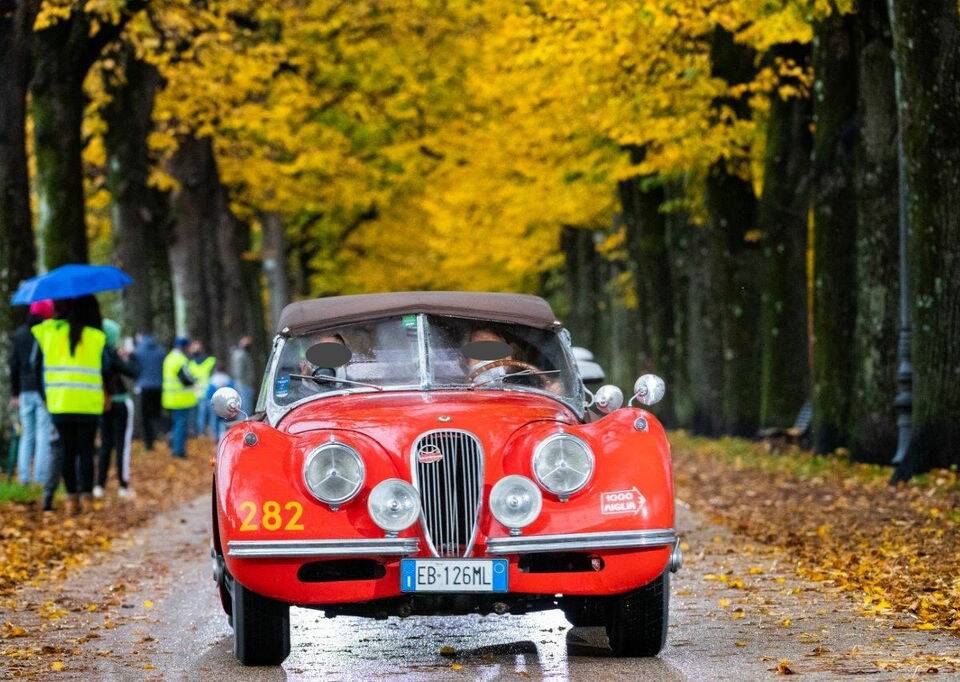 Afbeelding 2/6 van Jaguar XK 120 OTS (1954)