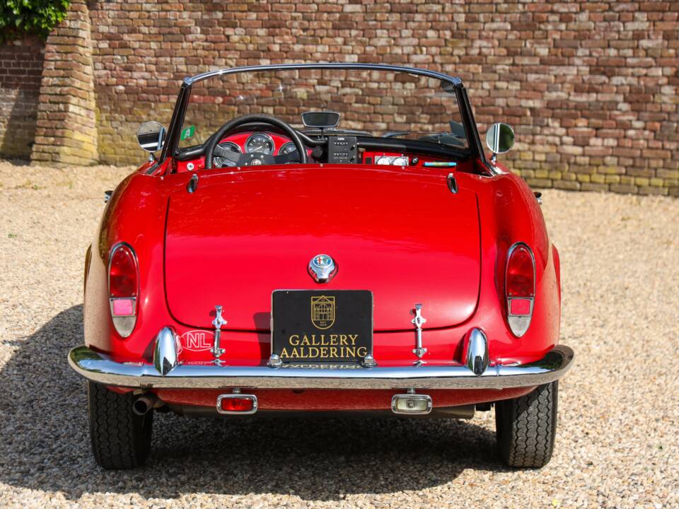 Bild 6/50 von Alfa Romeo Giulia 1600 Spider Veloce (1965)