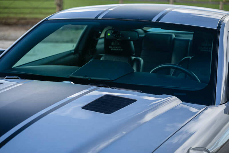 Imagen 34/38 de Ford Mustang Shelby GT 500 (2008)