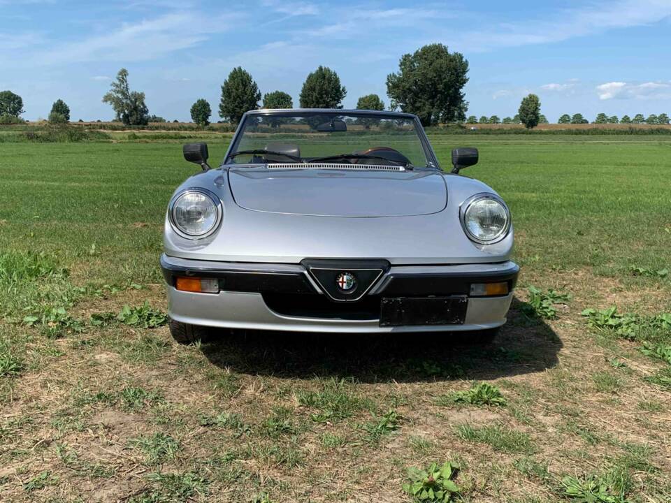 Afbeelding 3/8 van Alfa Romeo 2.0 Spider (1988)