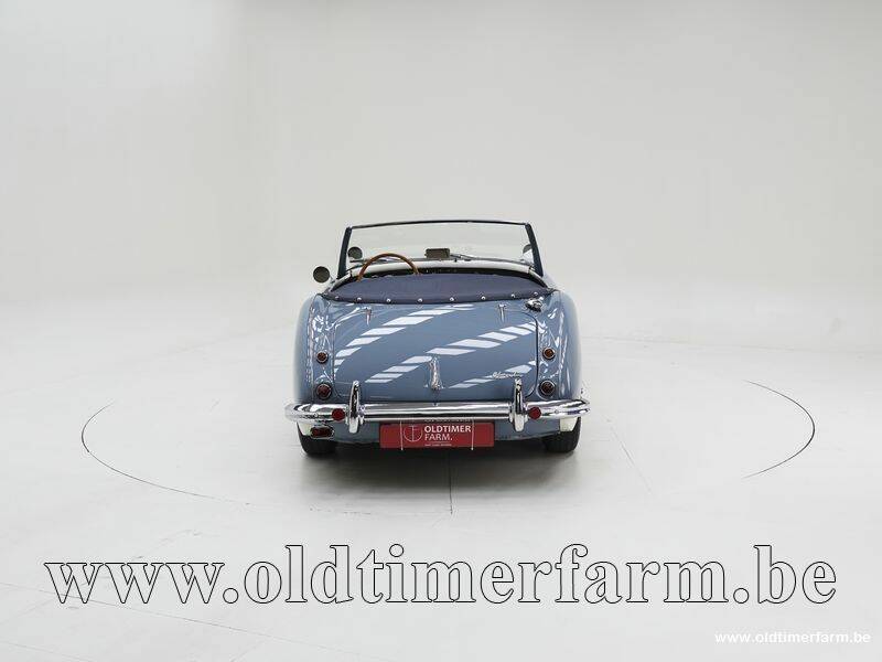 Image 7/15 of Austin-Healey 100&#x2F;6 (BN4) (1959)