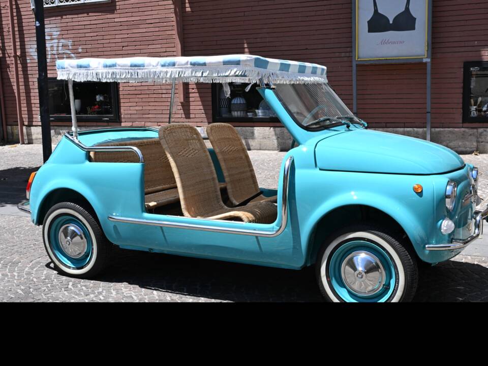 Image 7/90 of FIAT Ghia 500 Jolly (1970)
