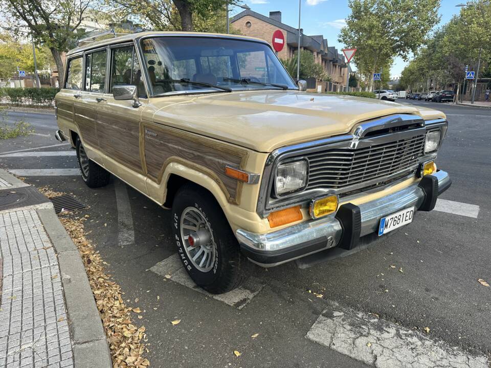 Bild 1/8 von Jeep Grand Wagoneer (1981)