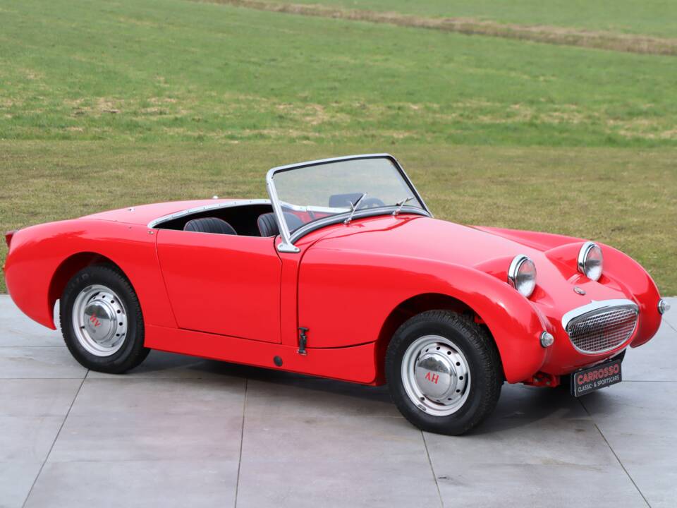 Bild 1/50 von Austin-Healey Sprite Mk I (1959)