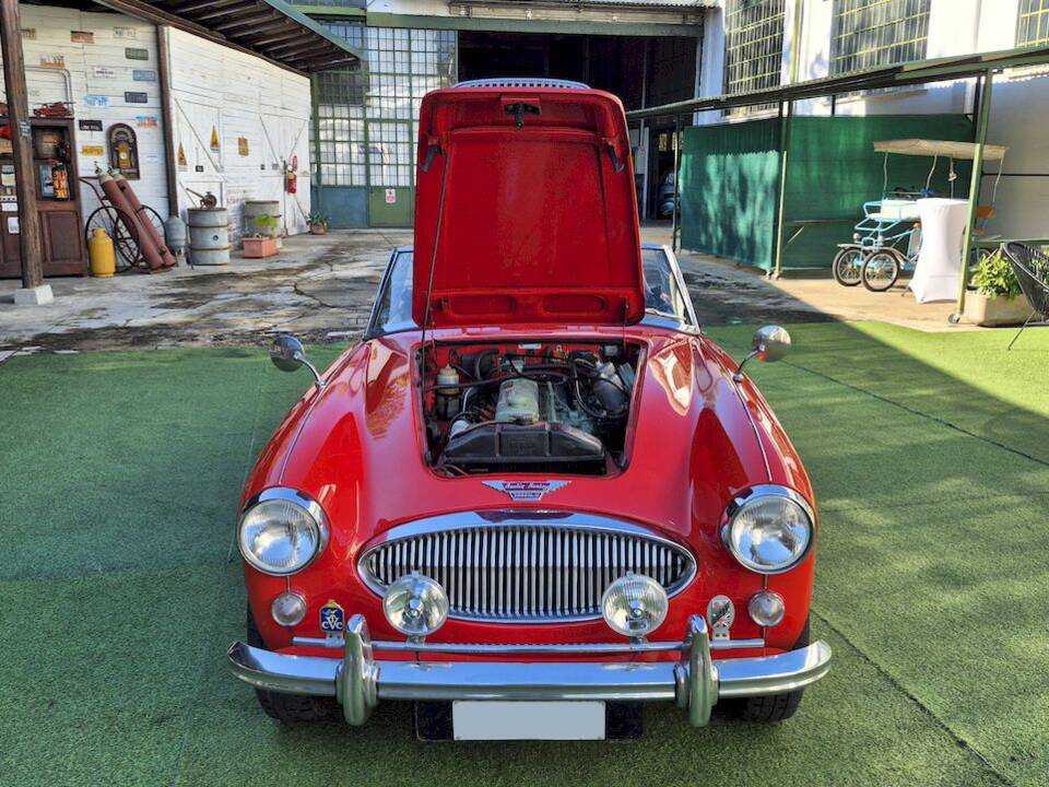 Imagen 33/53 de Austin-Healey 3000 Mk III (BJ8) (1965)