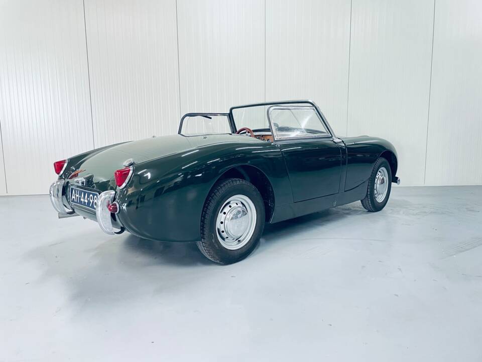 Bild 3/14 von Austin-Healey Sprite Mk I (1960)