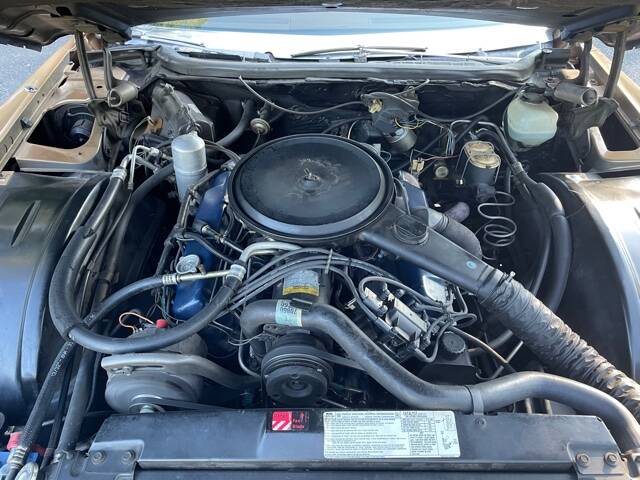 Bild 28/33 von Cadillac Fleetwood Eldorado Biarritz Coupe (1977)