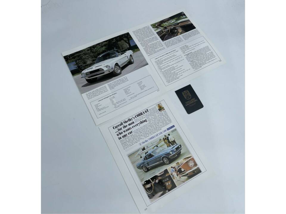 Bild 13/50 von Ford Shelby GT 350 (1968)