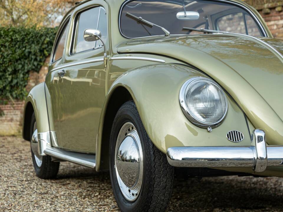 Bild 43/50 von Volkswagen Beetle 1200 Standard "Oval" (1956)