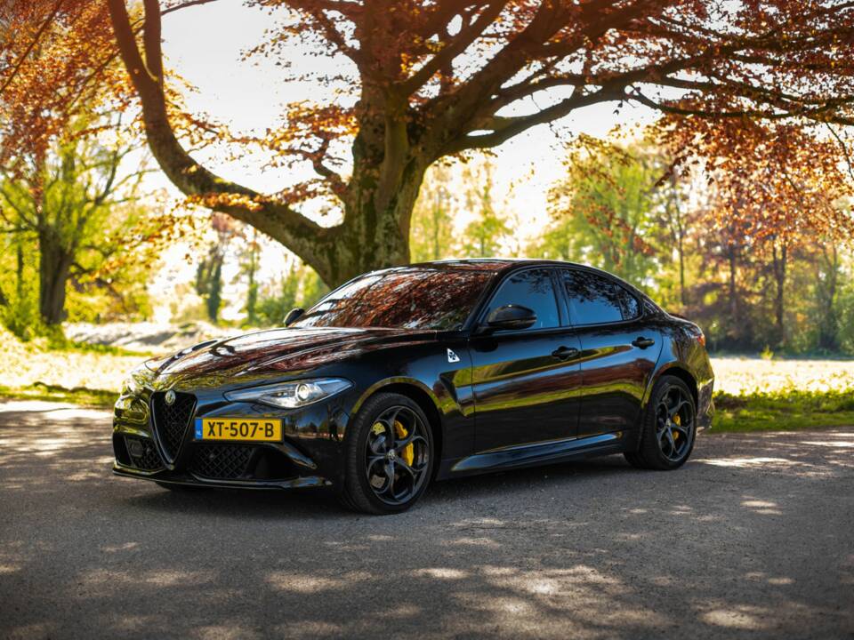 Image 1/24 de Alfa Romeo Giulia Quadrifoglio (2018)