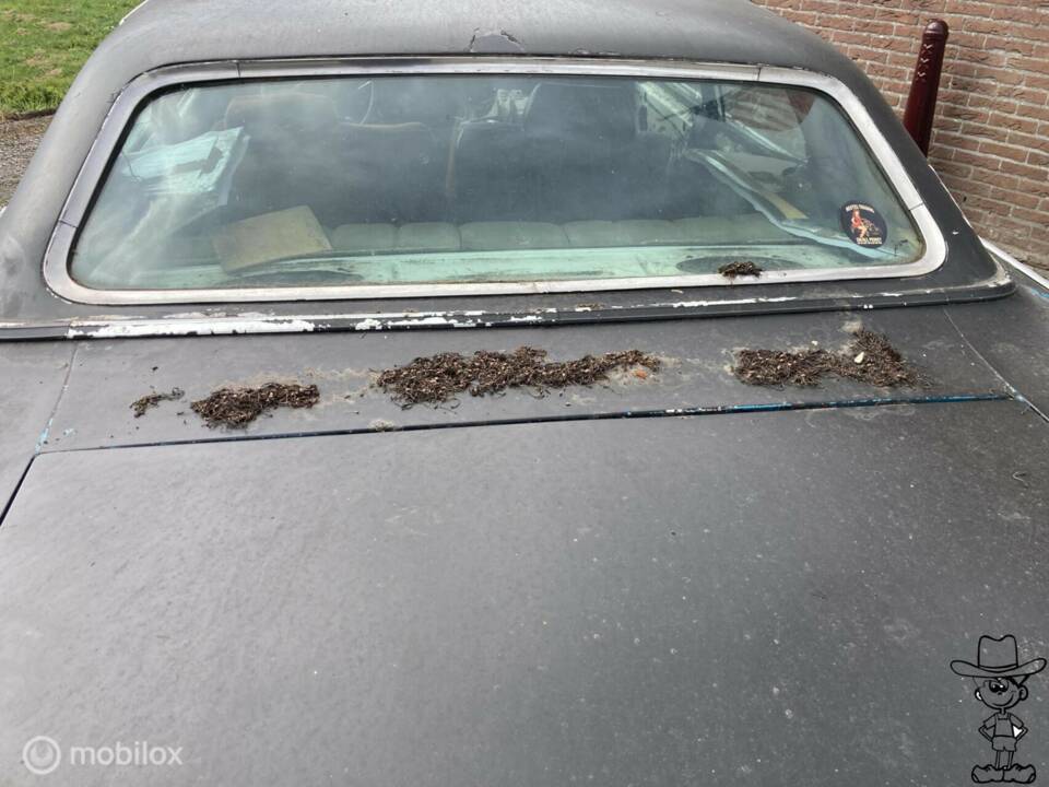 Image 8/30 of Mercury Grand Marquis (1969)