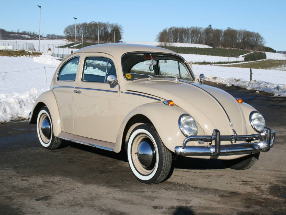 Image 50/65 of Volkswagen Beetle 1200 (1967)