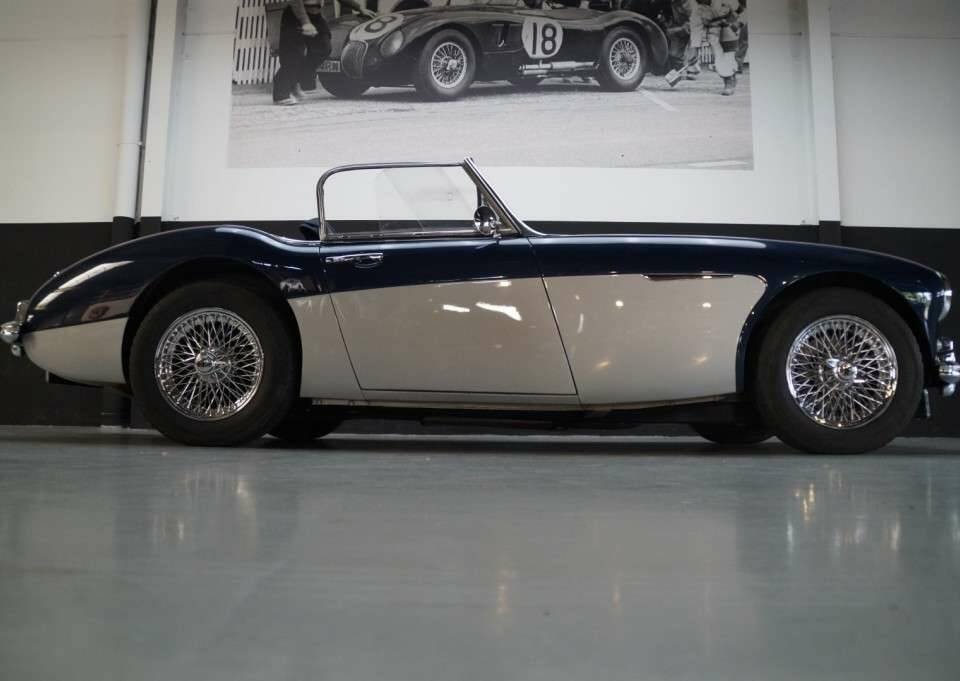 Imagen 3/50 de Austin-Healey 3000 Mk II (BN7) (1961)