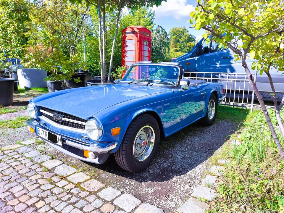 Image 50/51 of Triumph TR 6 (1975)