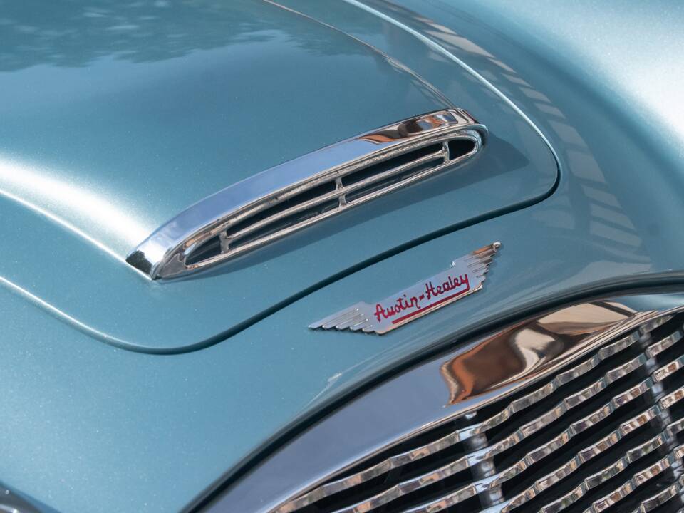 Image 3/38 of Austin-Healey 100/6 (BN4) (1956)