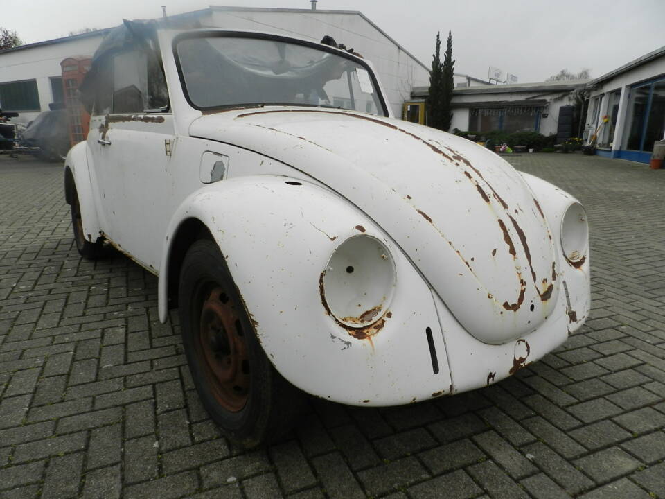 Bild 1/51 von Volkswagen Käfer 1500 (1968)