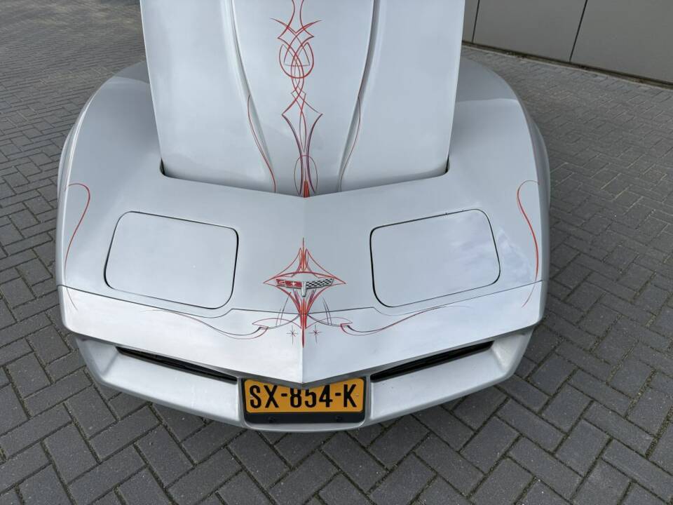 Immagine 8/18 di Chevrolet Corvette Sting Ray (1980)