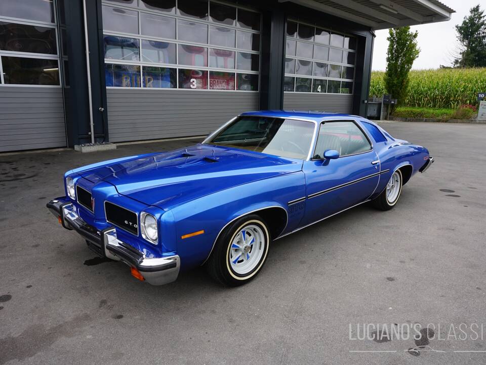 Afbeelding 1/58 van Pontiac GTO (1973)