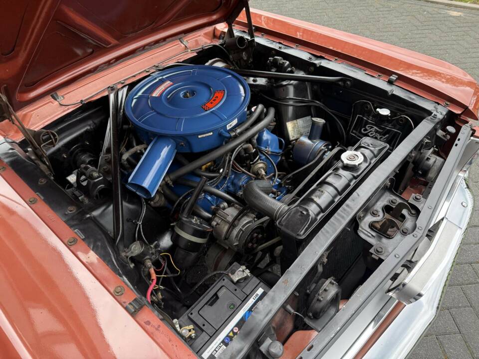 Bild 25/50 von Ford Mustang 289 (1966)