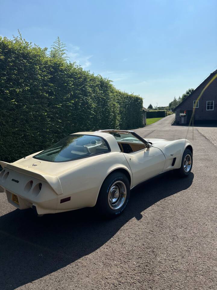 Image 19/21 de Chevrolet Corvette Stingray (1977)
