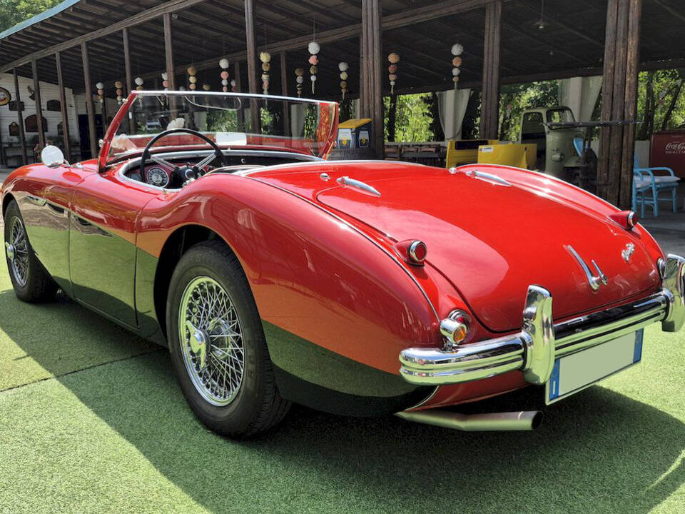 Bild 16/62 von Austin-Healey 100&#x2F;4 (BN1) (1954)