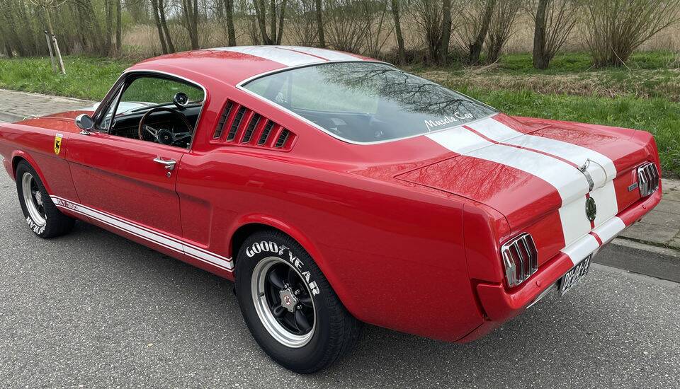 Image 5/7 of Ford Shelby GT 350 (1965)