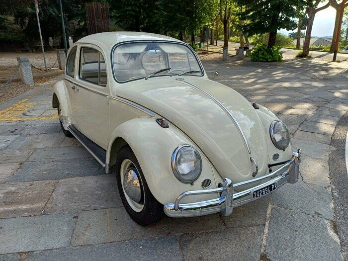 Immagine 7/7 di Volkswagen Maggiolino 1200 A (1965)