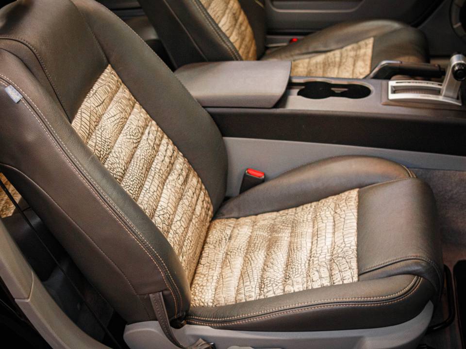 Image 45/49 of Ford Mustang GT (2006)