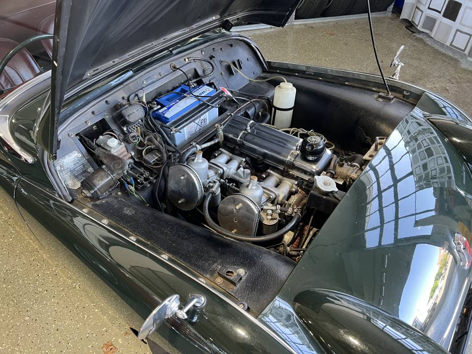 Immagine 31/34 di Triumph TR 2 (1955)