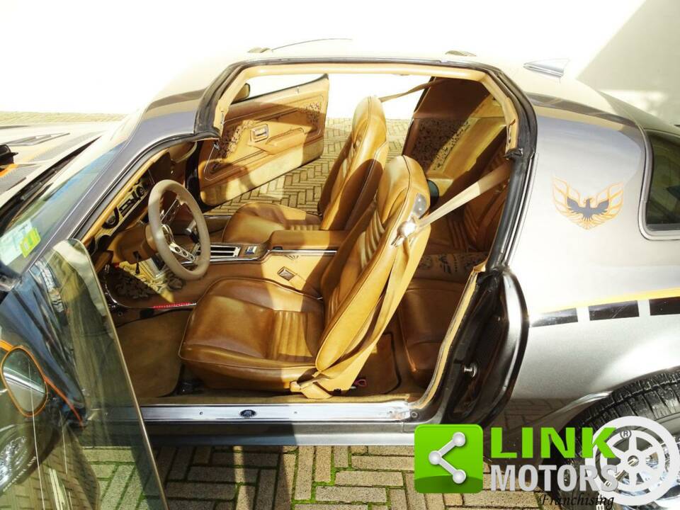 Image 8/10 of Pontiac Firebird TransAm (1979)