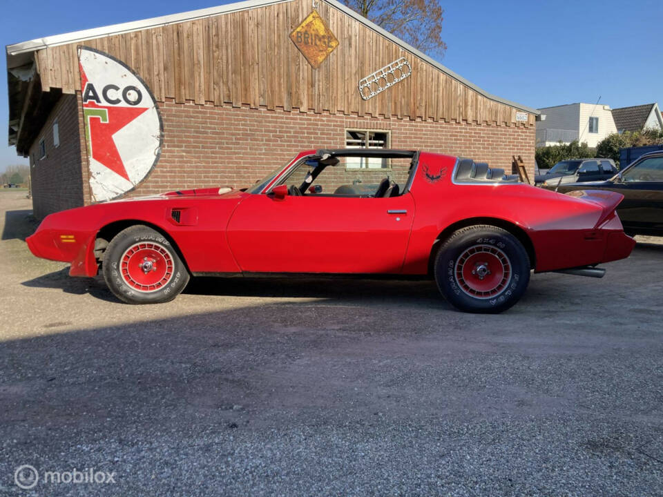 Image 38/50 of Pontiac Firebird TransAm (1982)