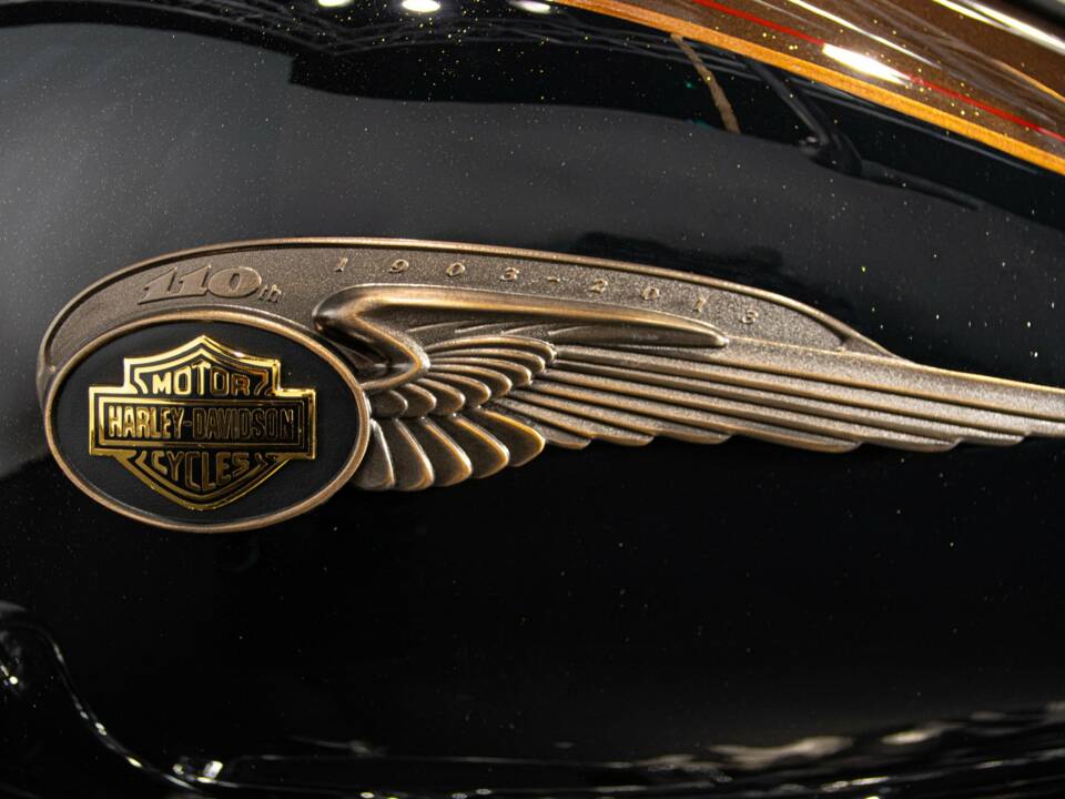 Bild 43/50 von Harley-Davidson DUMMY (2013)