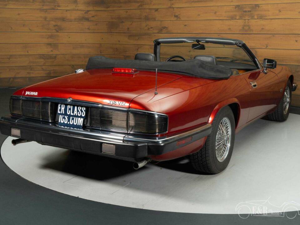 Immagine 4/9 di Jaguar XJS 5.3 V12 (1992)