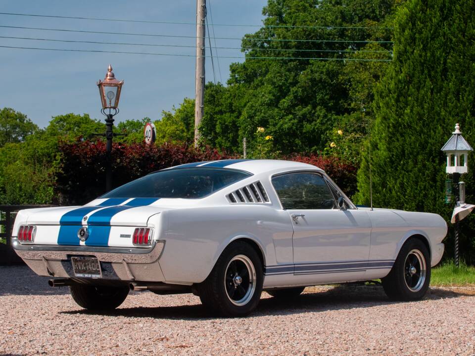 Image 11/54 of Ford Shelby GT 350 (1965)