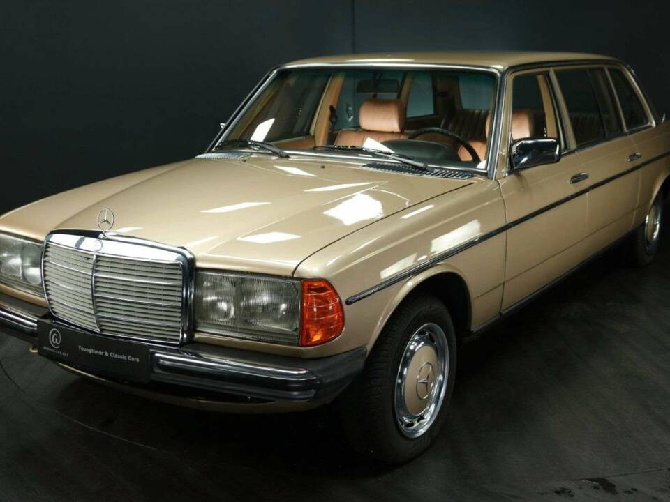 Bild 1/49 von Mercedes-Benz 250 lang (1985)