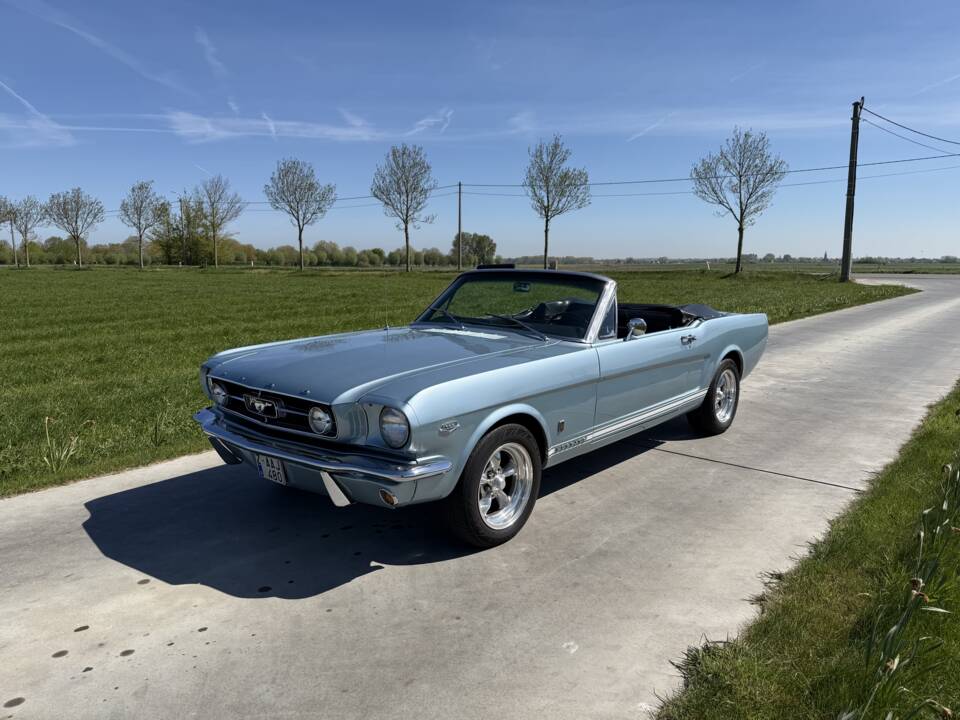 Bild 50/99 von Ford Mustang 289 (1965)