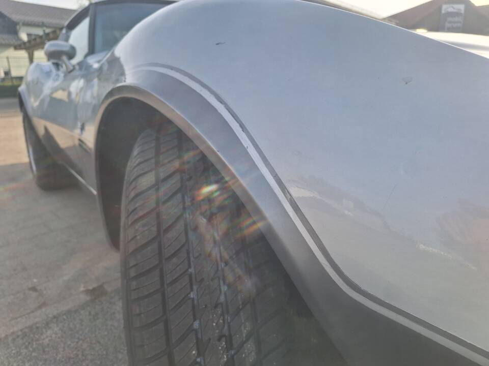 Image 15/82 of Chevrolet Corvette 25th Anniversary (1978)