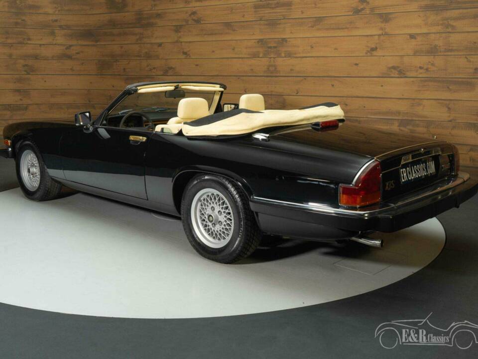 Image 7/19 de Jaguar XJ-S Convertible (1990)