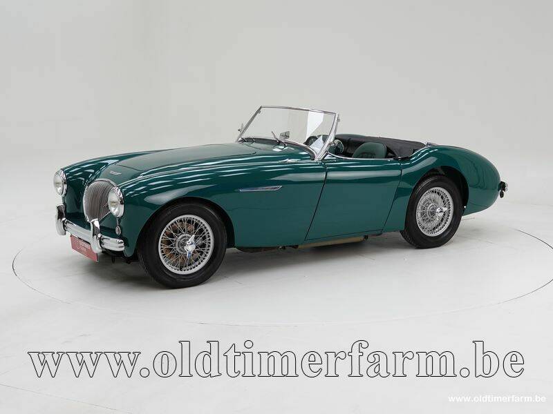 Imagen 1/15 de Austin-Healey 100&#x2F;4 (BN1) (1954)