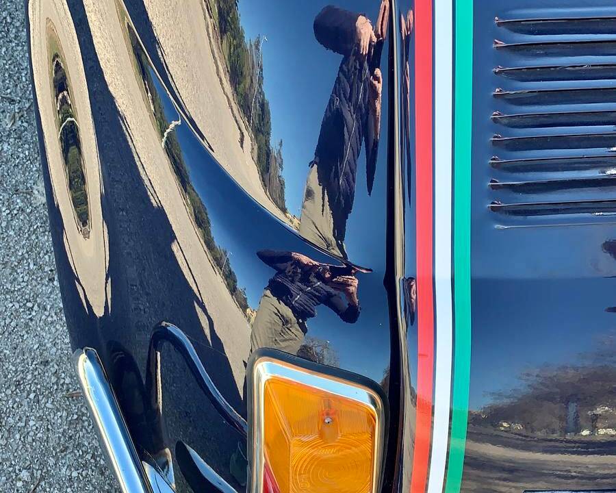 Immagine 50/90 di FIAT 500 L (1971)