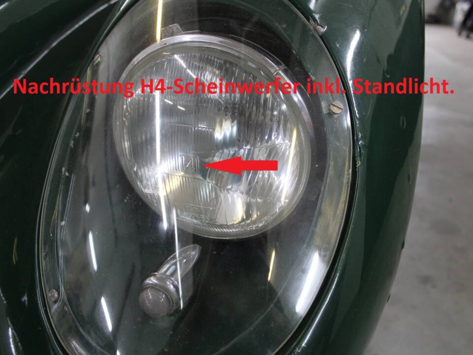 Bild 52/80 von Lister Knobbly (1956)