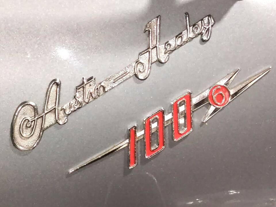 Imagen 37/72 de Austin-Healey 100/6 (BN4) (1957)