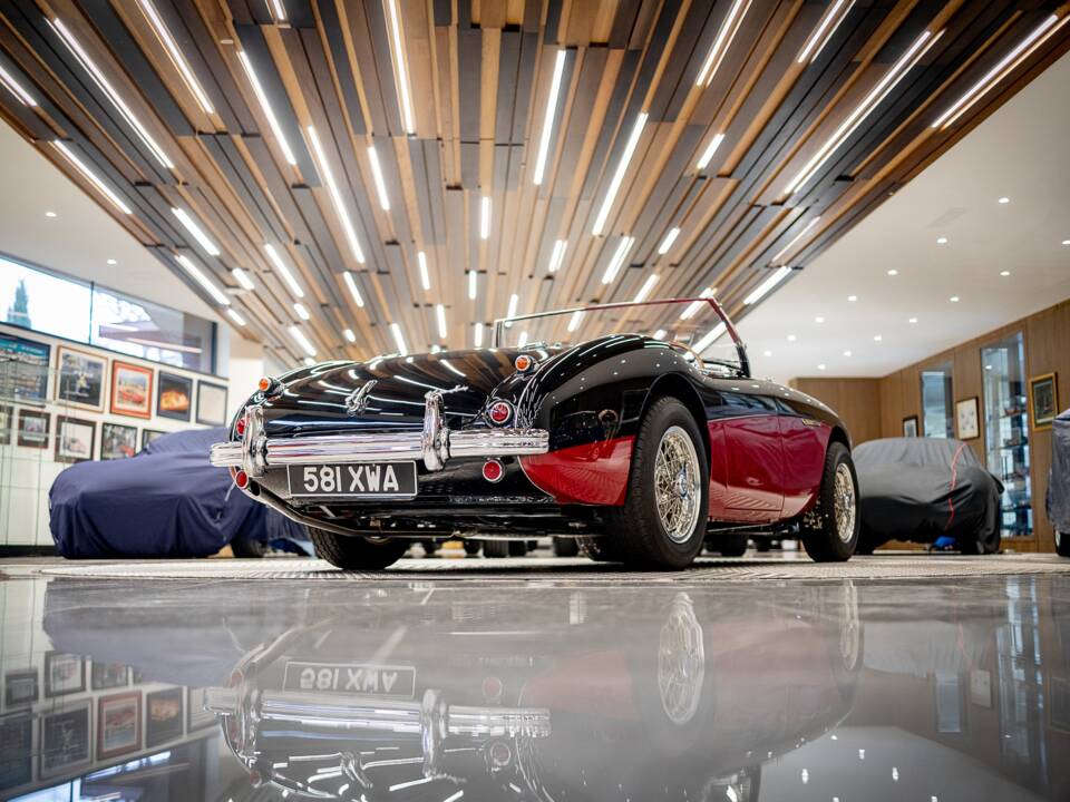 Bild 13/50 von Austin-Healey 100/4 (BN2) (1956)