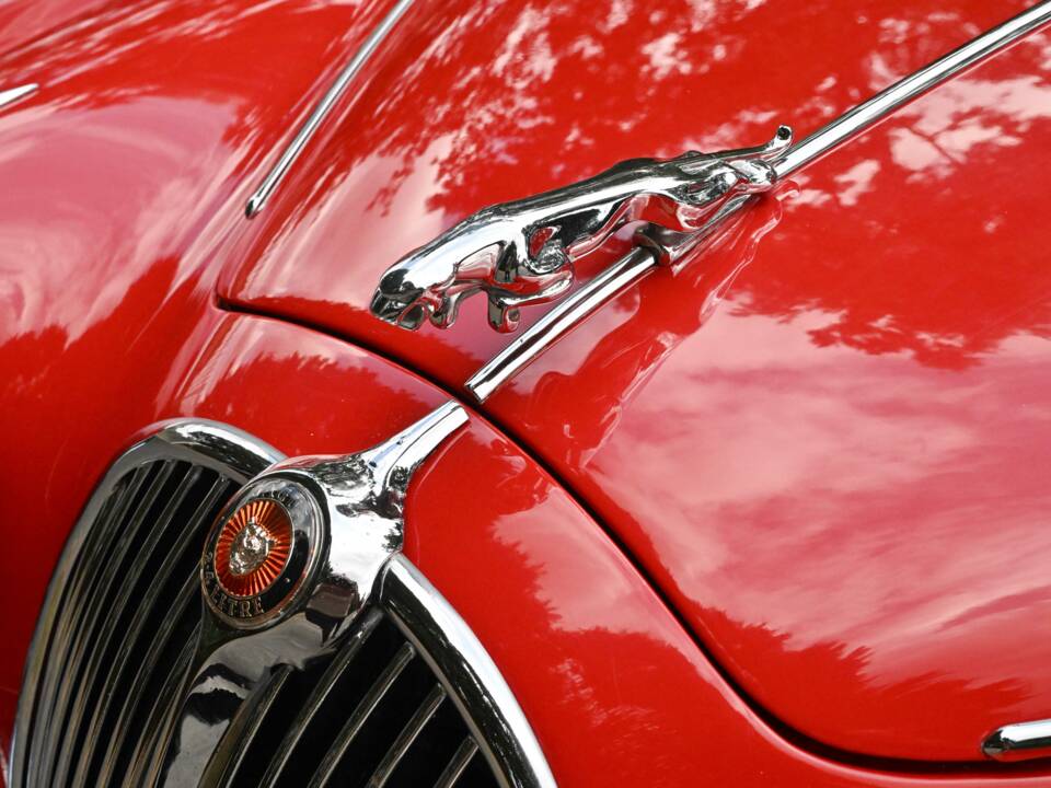 Bild 20/50 von Jaguar Mk II 2.4 (1961)