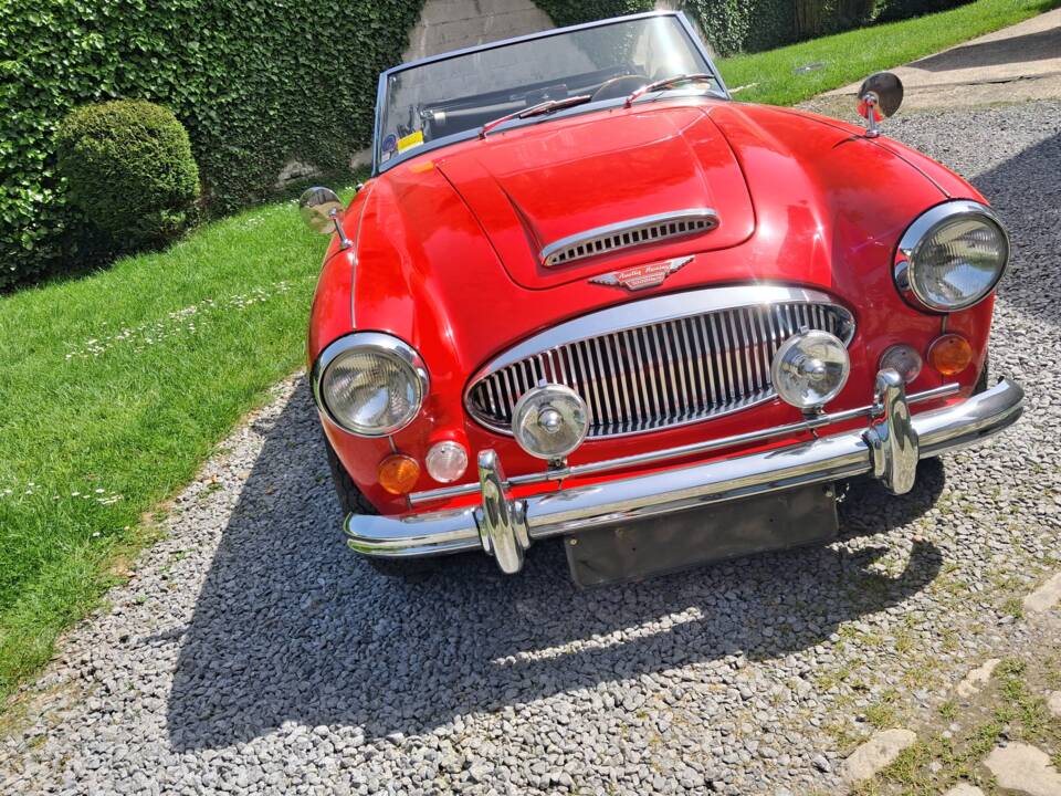 Afbeelding 3/28 van Austin-Healey 3000 Mk III (BJ8) (1966)