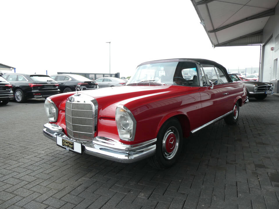 Afbeelding 3/28 van Mercedes-Benz 250 SE (1965)