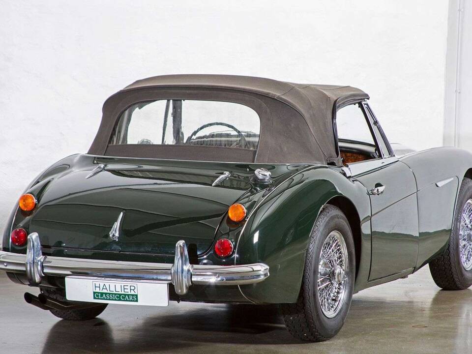 Imagen 11/20 de Austin-Healey 3000 Mk III (BJ8) (1966)