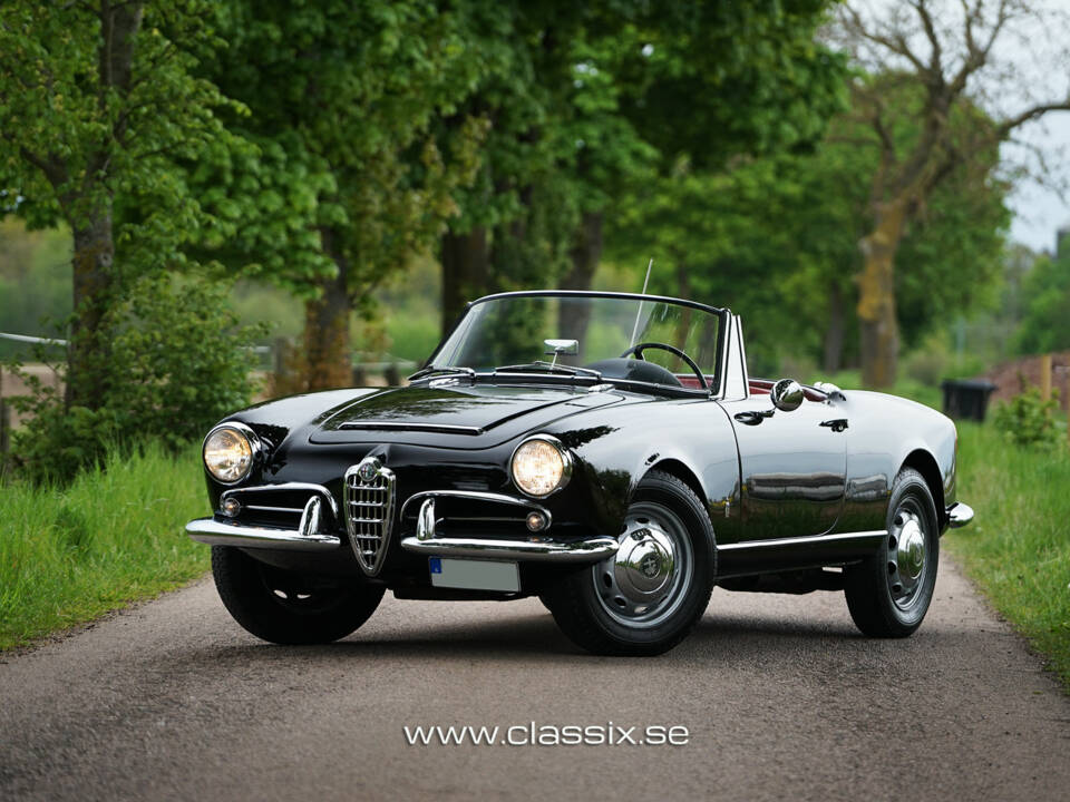 Image 13/20 of Alfa Romeo Giulia 1600 Spider (1964)